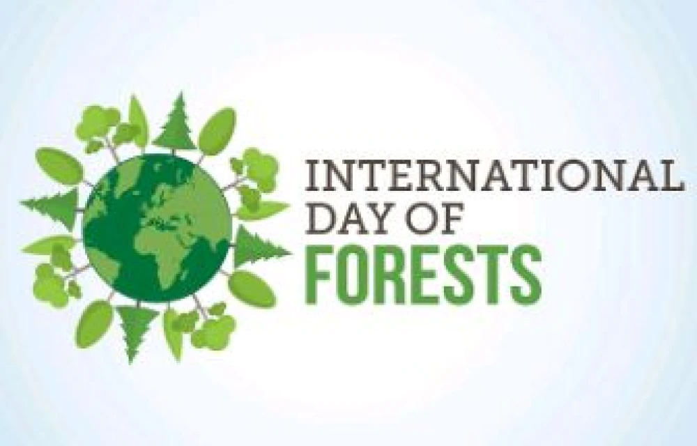 International Day of Forests surady